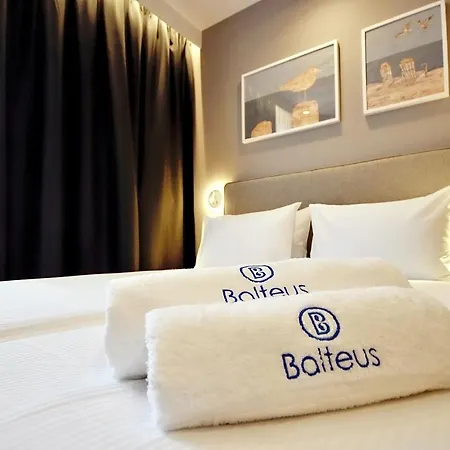 Balteus Boutique 게스트하우스 4*