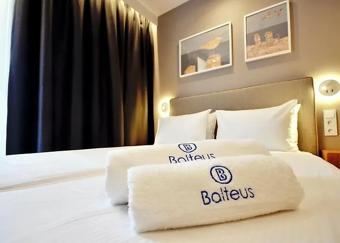 Balteus Boutique Pensionat 4*