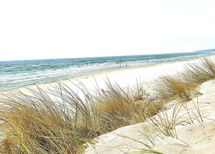 Balteus Boutique Pensionat